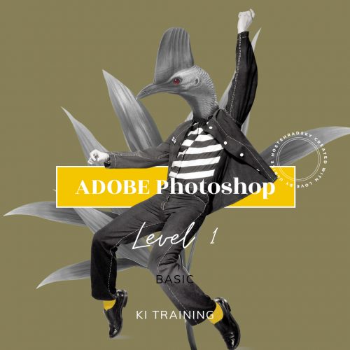 Adobe Photoshop | KI Level 1