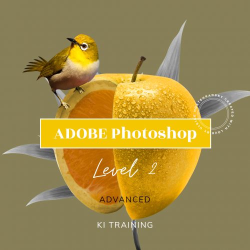 Adobe Photoshop | KI Level 2
