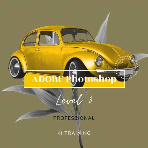 Adobe Photoshop | KI Level 3